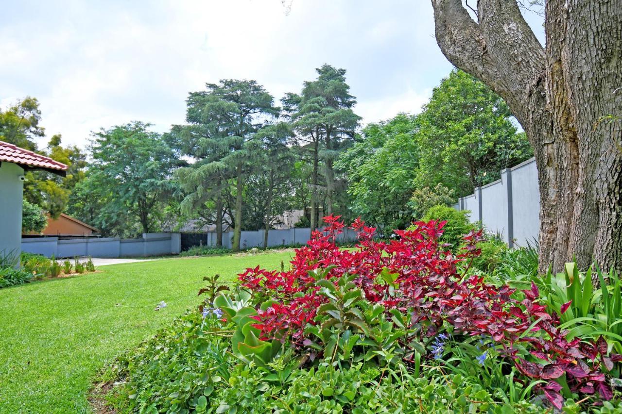 Zwelakho Furnished Apartments The Cube 요하네스버그 외부 사진